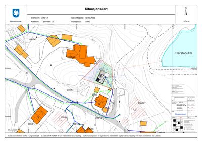 Situasjonskart som viser eiendomsnummer, adresse, naboeiendommer, vegnett og topografi.