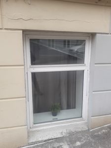 Fotografi av et vindu i en fasade med synlige sprekker i overkanten og en plante inne i vinduet.