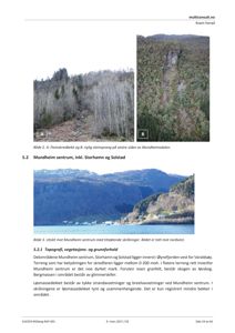 Fotografier av et område (Mundheim) inkludert utsikt, bekker og steinsprang.