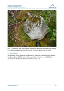 Fotografi av en stor steinblokk i grøfta, markert med gul sirkel og referert til i teksten som et eksempel på blokk flyttet under sikringsarbeider.