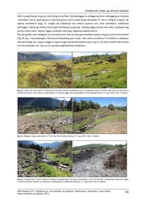 Fotografier av et myrlandskap med skiløype, skitrekk og terrengforhold.