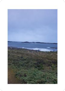 Fotografi av et kystlandskap med vegetasjon i forgrunnen, hav og øyer i bakgrunnen.