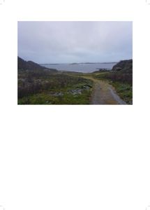 Fotografi av et kystlandskap med en sti som leder mot vannet.