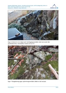 Fotografier av skrent og berg i et utredningsområde for skredfarevurdering.