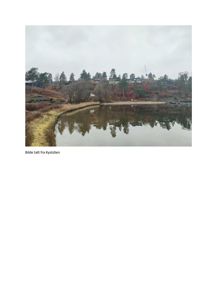 Fotografi av et kystlandskap med hus på en skråning og vann i forgrunnen.