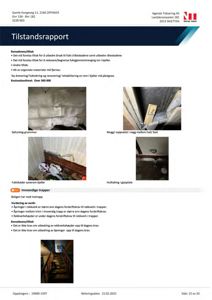 En rapport med tekster og flere fotografier som viser skader på en bygning, inkludert fukt, mugg og hull i gipsplate.