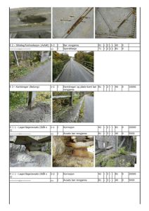 Et dokument som inneholder flere fotografier av skader på en bygning (fukt, rust, korrosjon) kombinert med en kostnadsberegning.