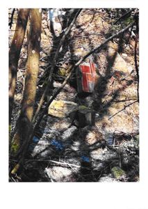 Fotografi av et utendørs område med trær, løv og en delvis synlig rød teglstein eller murverk.