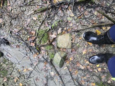 Fotografi av en person i gummistøvler som står på en mudderete og bladfylt bakke, muligens ved en byggeplass eller i et naturområde.