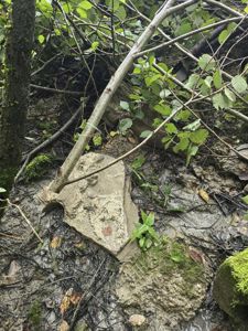 Fotografi av en våt, muddret bakke med greiner, mos og et stykke betong eller stein.