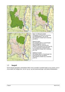 Geografisk kart som viser avrenning og bebyggelse i området rundt Rotnes og Tumyrhaugen.