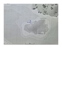 Situasjonsplan som viser topografi (konturlinjer), vannkropp (Torskeholsundet og Torskehøimen) og en markert byggeplass med håndskrevne mål.