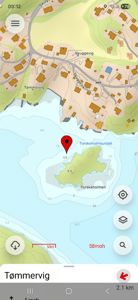 Kart over Tømmervig og Torskeholmen med topografi, vann og bygningsplasseringer.