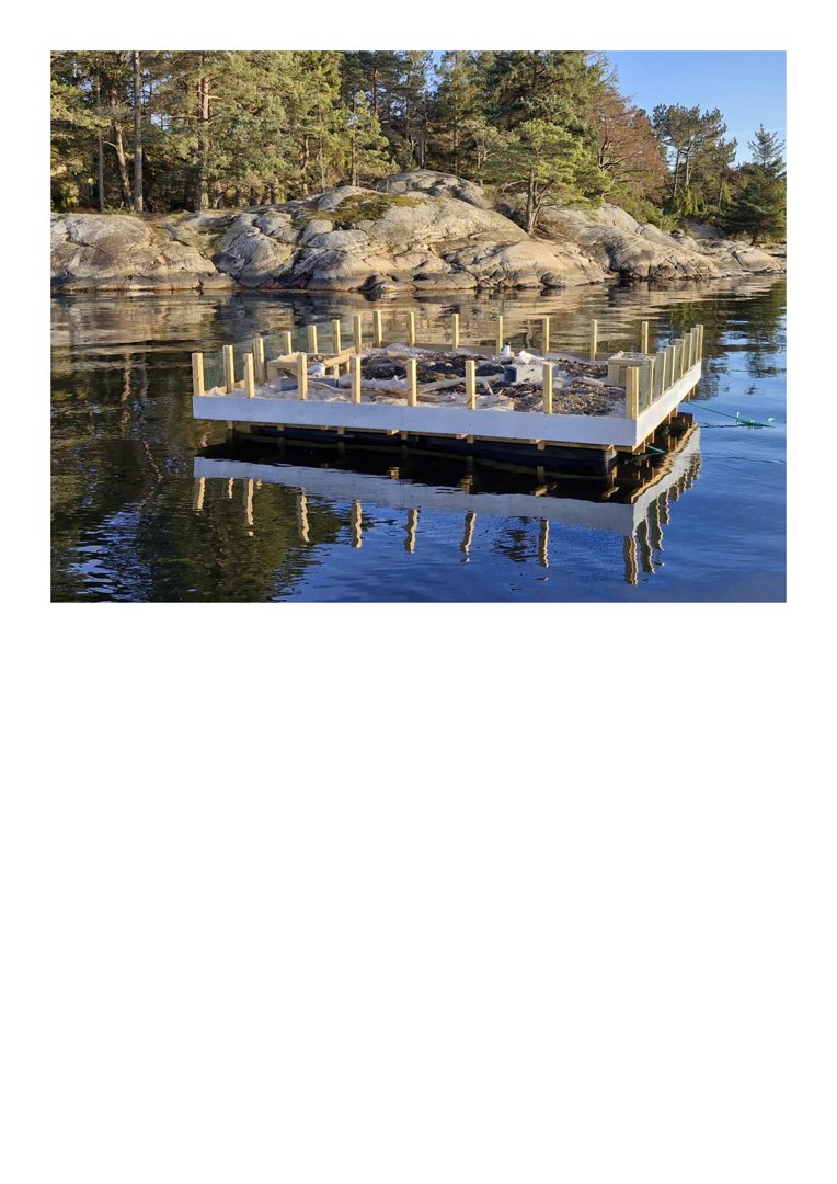 Fotografi av en ferdig eller nesten ferdig bygning (en liten kai eller plattform) på vannet, sett fra et fritt perspektiv.