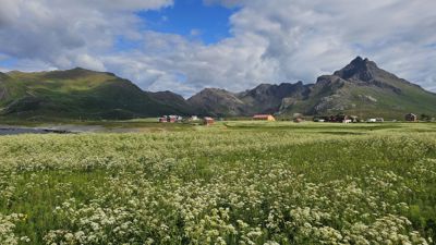 Fotografi av et landskap med en liten bygde i bakgrunnen, omgitt av fjell og en eng med hvite blomster.