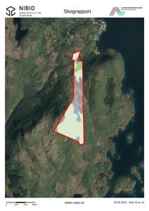 Satellittbilde (flyfoto) av et område med en markert tomt (rød linje) og skogkartlegging (fargede områder).