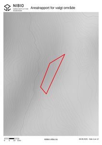Kart over et område med høydeforhold (konturlinjer) og en markert tomt (rød polygon).