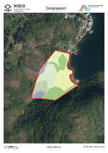 Et satellittbilde (flyfoto) av et område med en markert tomt (rød linje) og skogkartlegging (fargede områder).