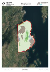 Et satellittbilde (flyfoto) av et område langs kysten, med en rød linje som markerer en tomt eller et skogområde. Bildet inneholder også fargekoding for ulike skogtyper eller terrengforhold.