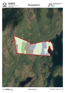 Satellittbilde (flyfoto) av et område med en markert skogareal (rødt) og fargekodet vegetasjon. Dette er en situasjonsplan eller kart fra en skograpport.