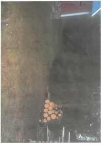 Fotografi av en tomt med en tegnet bygningsoversikt (situasjonsplan) overlagt på bildet.