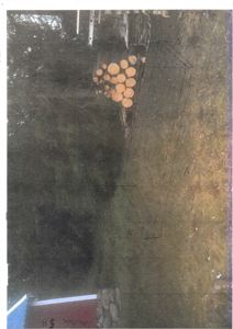 Fotografi av en tomt med en tegnet bygningsoversikt (situasjonsplan) overlagt på bildet.