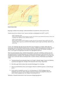 Situasjonsplan som viser etasjeplaner, bygningers plassering og topografi.