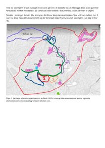 Et kart som viser kartlagte naturtyper (rosa områder) og observasjoner (blå, grønn, rød områder) i et område rundt Storetjønn.
