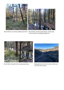 Fotografier av ulike myrområder (4c, 5, 6) og et nedbygd område, med beskrivende tekster under hver bilde.