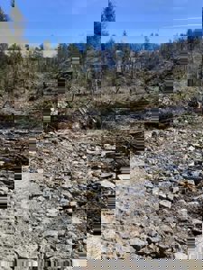 Fotografi av et terreng med stein, nedrevne trær og skog i bakgrunnen.