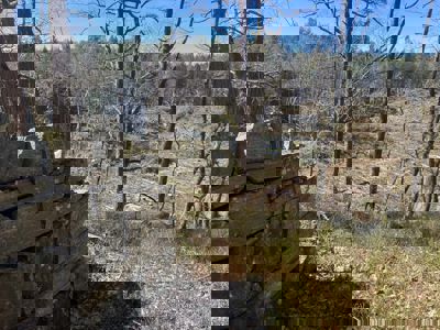 Fotografi av en steinmur i skogen med utsikt over et skogsterrangt.