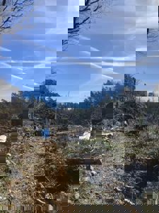 Fotografi av en person som går på en sti i et skogsmiljø med trær og blå himmel.