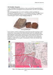 Et kart over berggrunnen (geologi) i et område, med en markert posisjon for en bygning.