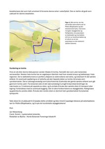 Et kart over et område med topografi, vegetasjon og en markert tomte (blå ramme).