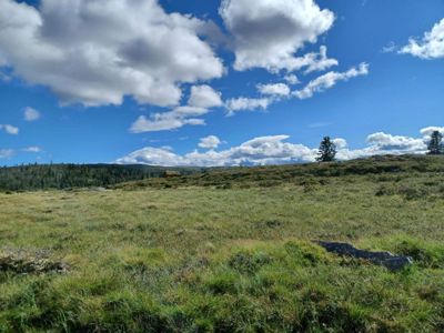 Fotografi av et åpent, grønt landskap med en blå himmel og skyer i bakgrunnen.