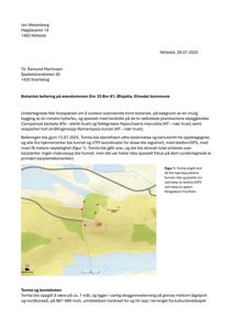 Et kartutsnitt (fra Norgeskart) som viser en tomt med markerte punkter og topografi.