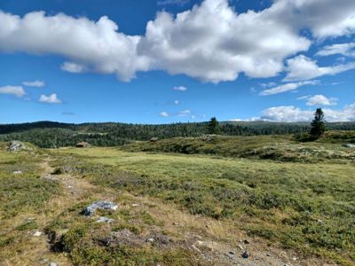 Fotografi av et naturområde med en liten hytte i bakgrunnen, sannsynligvis en tomt eller et byggeområde.
