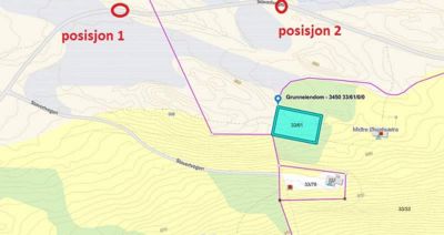 Situasjonsplan som viser tomtens beliggenhet i forhold til nabolag, veier (Sløvervegen) og høydeforhold.