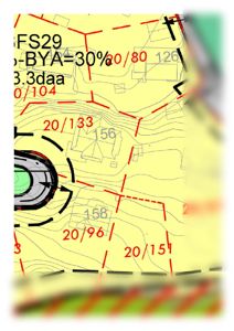 Situasjonsplan som viser tomtegrenser (røde streker), høydemålerlinjer (konturlinjer), eksisterende bygninger, og reguleringstegninger (svarte linjer).