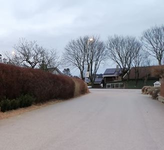 Fotografi av en vei i et boligområde med hus og trær i bakgrunnen.
