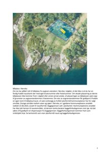 Et kart som viser et kystområde (Nervika) med en markert båtplass (gult) og en byggeforbudsgrense (rød linje).