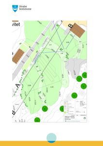 Situasjonsplan som viser tomtens terrengforhold (høydekurver), vegetasjon (trær), og plassering av bygninger i forhold til nabolaget.