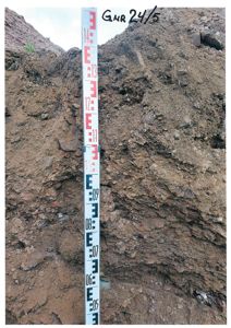 Fotografi av en utgravd jordprofil med et målestokk (stang) plassert i midten for å vise dybden og lagstrukturen i jorda.