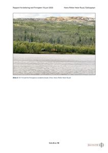 Fotografi av Finnsjøen sett fra nordøstre bredd, med fjell og skog i bakgrunnen.