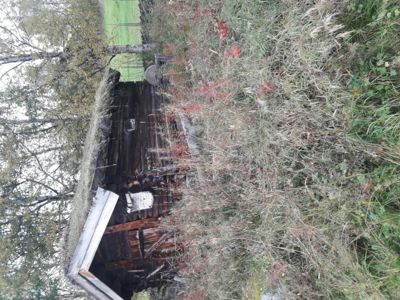 Fotografi av en gammel, mørk trebygning (muligens en uthus eller gammel hytte) som står i overvokst vegetasjon. Bygningen har et skrått tak og ser ut til å være i dårlig stand.