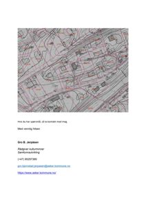 Bildet viser en situasjonsplan eller et topografisk kart med konturlinjer og punkter som sannsynligvis markerer arkeologiske funn eller kulturminner. Dette er en teknisk tegning som viser terrengforhold og plassering av objekter på et område.