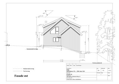 Fasadetegning av en bolig sett fra øst, med mål og terrengforhold.