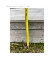 Fotografi av en gul målebånd som viser høyden på trinnene ned til grunnen (ca. 0,46 m).