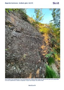 Fotografi av en bratt fjellskrent med vegetasjon, som illustrerer beskaffenheten i et tiltaksområde.