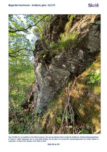 Fotografi av en fjellvegg med vegetasjon og et gult pilt som peker på en spesifikk del av steinen.